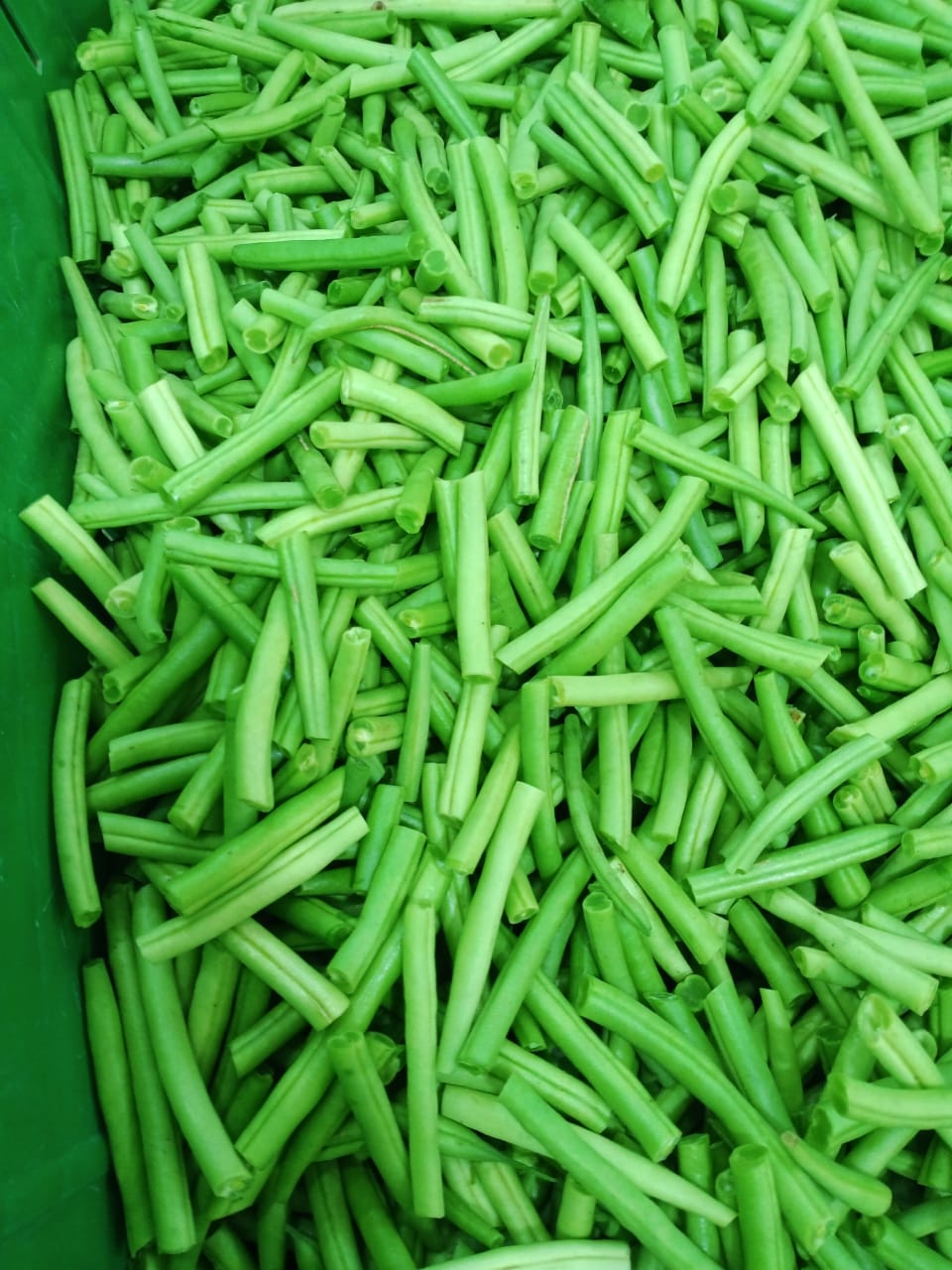 Green Beans